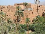 Adobe buildings and date palms
