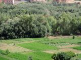 Todra river valley