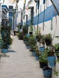 Alleyway in the old town of Tangier