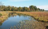 Neabsco Creek in Virginia