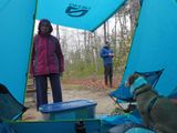 Venturing out on a wet morning