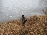 On Gilman Pond