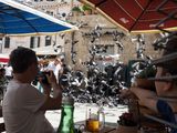 Pigeons
