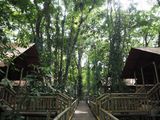 Pathway between the lodges at Evergreen