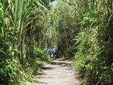 The trail