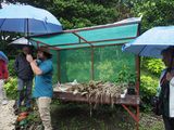 Monteverde Cafe Tour