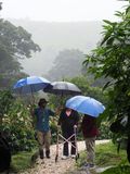 Heavy downpour while at the Monteverde Cafe