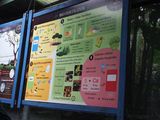 Monteverde Cafe Tour