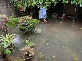 Flooded front yard