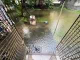 Flooding of the back yard