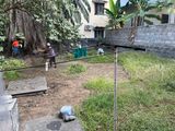 Removing the grass