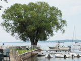 The West Arm Grand Traverse Bay