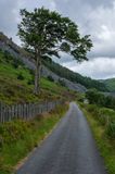 Lane at Aberllefenni