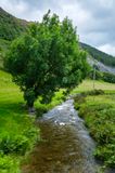 Afon Llefenni