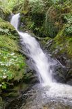 Dolgoch Falls