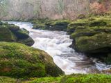 The Strid