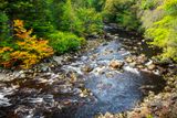 Afon/River Mawddach 