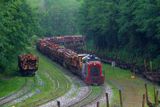 2013 06 18 151252 WESTERN FOREST PRODUCTS  D3S copy.jpg