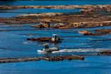 2013 06 18 154413 WESTERN FOREST PRODUCTS  D3S copy.jpg