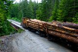 2013 06 20 200629 WESTERN FOREST PRODUCTS  D3S copy.jpg