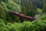 East Fork Bridge