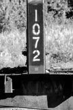 _8026626 copy.jpg