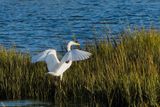 DSC04728-Edit-Edit.jpg