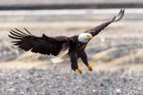 _JR55913-topaz-denoiseraw-sharpen.jpg