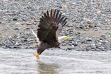 _JR56839-topaz-denoiseraw.jpg