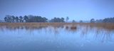 Steenhaarplassen