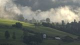 Misty moods
