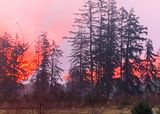 Mt. Rainier Shadow