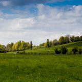 _F6A3134.jpg