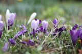 IMG_0352.JPG