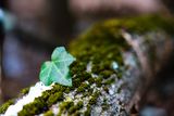 DSCF3861.jpg