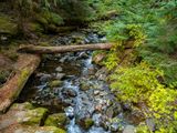 Copper Creek Falls