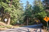 Mt. Tabor - Volcano in City Limits