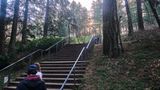 Mt. Tabor - Volcano in City Limits