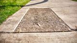 Corvallis Sidewalk Stamps