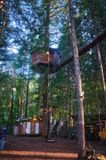 OutnAbout Treehouse Treesort
