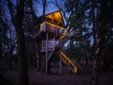 OutnAbout Treehouse Treesort