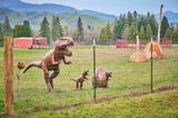 Rusty Metal Dinosaurs & Bigfoot