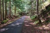 Olympic Discovery Trail