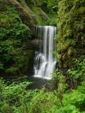 Silver Falls - Trail of Ten Falls