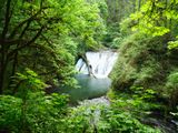 Silver Falls - Trail of Ten Falls