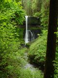 Silver Falls - Trail of Ten Falls