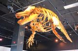Oregon Museum of Science and Industry