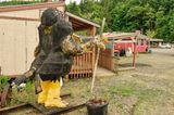 Yard Bird, Now a Farm Bird