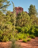 Sedona, AZ 2023