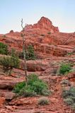 Sedona, AZ 2023